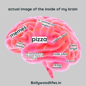 Pizza Memes - Bollywoodlifes.in