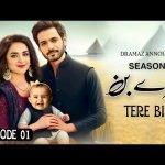 Tere Bin Season 2 A New Chapter in Meerab & Murtasims Story bollywoodlifes.in