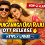 Anaganaga Oka Raju OTT Release Where to Watch Online Now bollywoodlifes.in