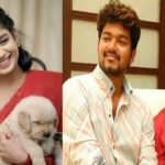 Jana Nayagan Row Trouble in Vijay Sangeetha Marriage bollywoodlifes.in