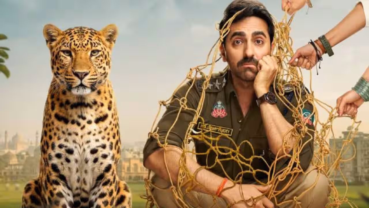 Pati Patni Aur Woh Do Box Office Prediction Day 1 bollywoodlifes.in
