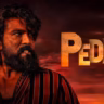 Peddi Box Office Day 1 Ram Charan Film Opens with Massive ROAR Strong Start at the Ticket Window bollywoodlifes.in